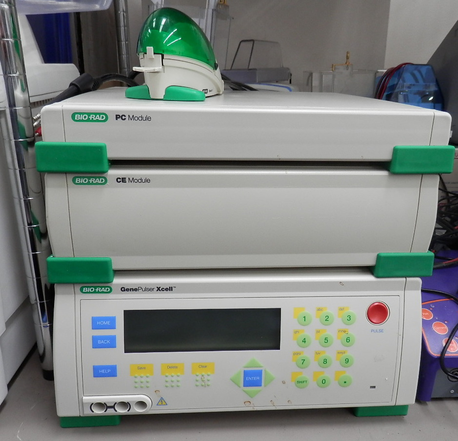 Electrophoresis BioRad Gene Pulser Xcell Total System